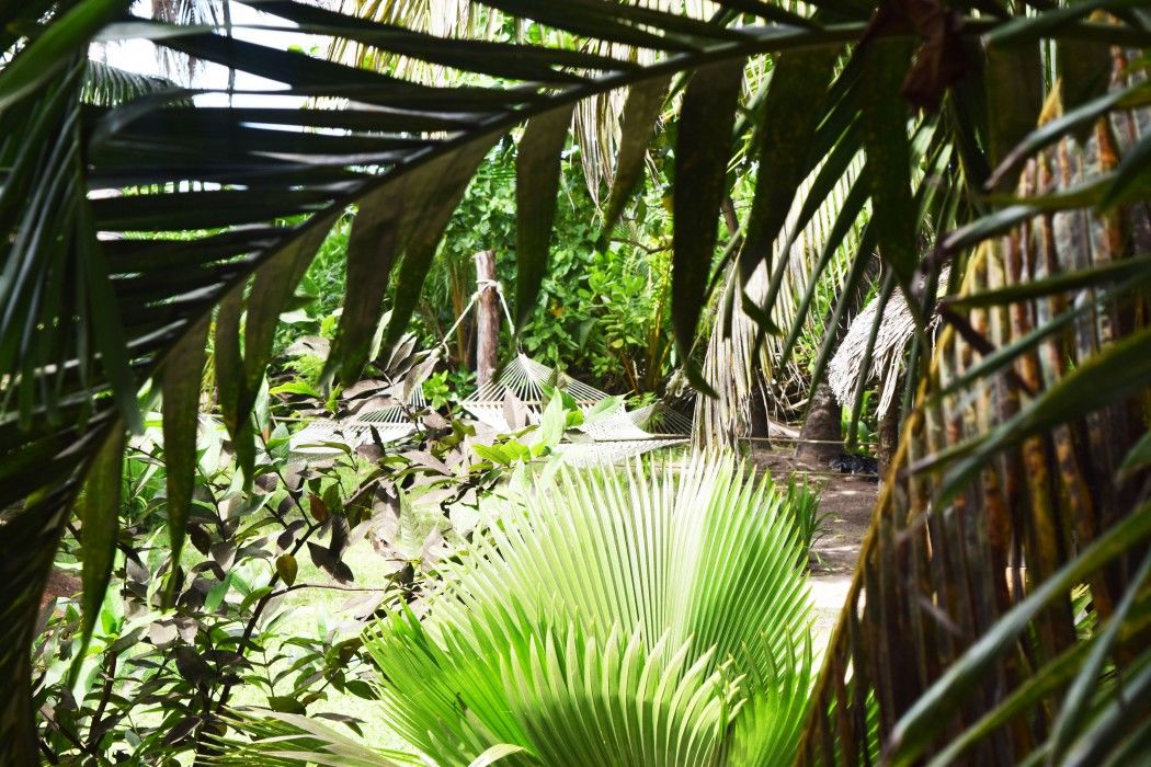 Szálloda Dhevatara Grand Anse (Praslin)